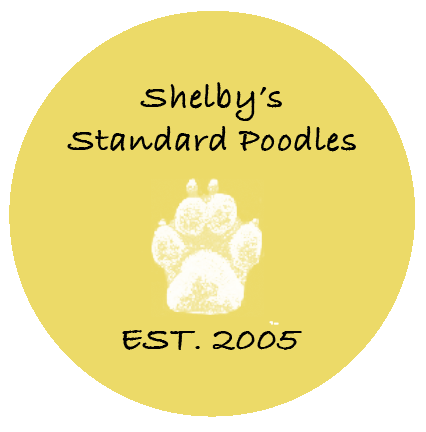 Shelby's Standard Poodles logo